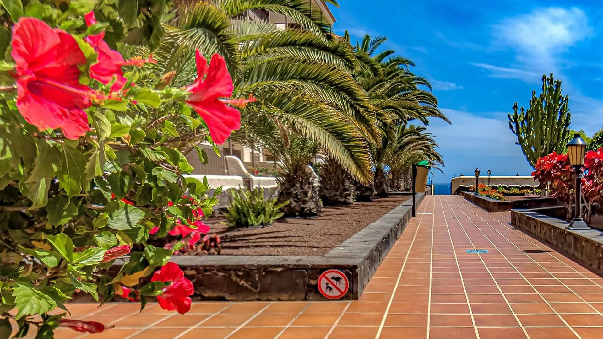 Atlantis 3 One Bedroom, Sea Front, In Complex With Pool Costa Del Silencio 0*,  Spain