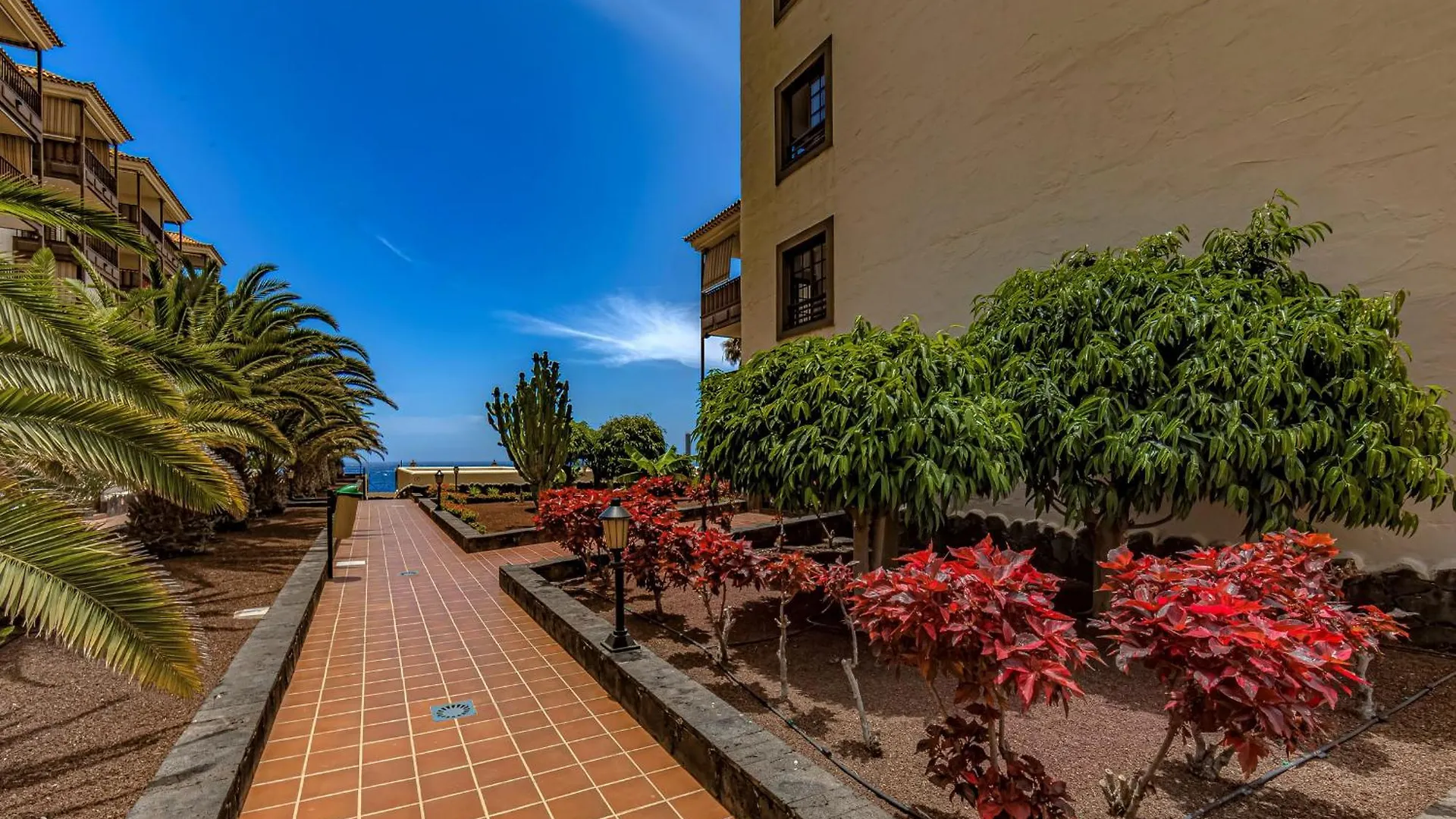 Apartment Atlantis 3 One Bedroom, Sea Front, In Complex With Pool Costa Del Silencio Spain